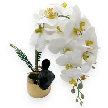 Ghiveci cu 2 fire orhidee alb/verde si ghiveci auriu