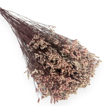 Buchet Limonium Uscat 70cm - Natural Pink