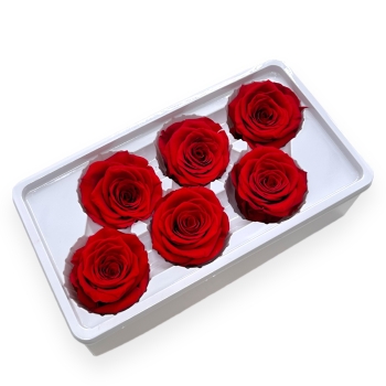 Set 6 Trandafiri Criogenati 5-6cm - Rosu Deschis