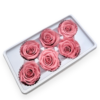 Set 6 Trandafiri Criogenati 5-6cm - Roze Prafuit